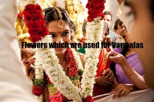 flowers in indian weddings