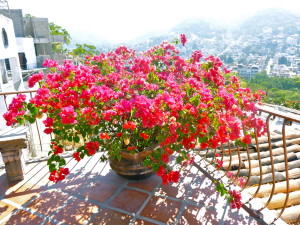 wedding flower