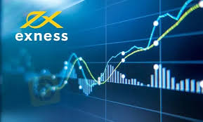 Comprehensive Exness Information for Every Trader Comprehensive Exness Information for Every Trader