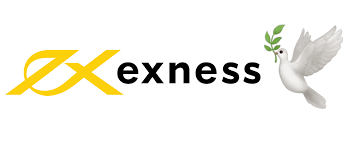 Comprehensive Exness Information for Every Trader Comprehensive Exness Information for Every Trader