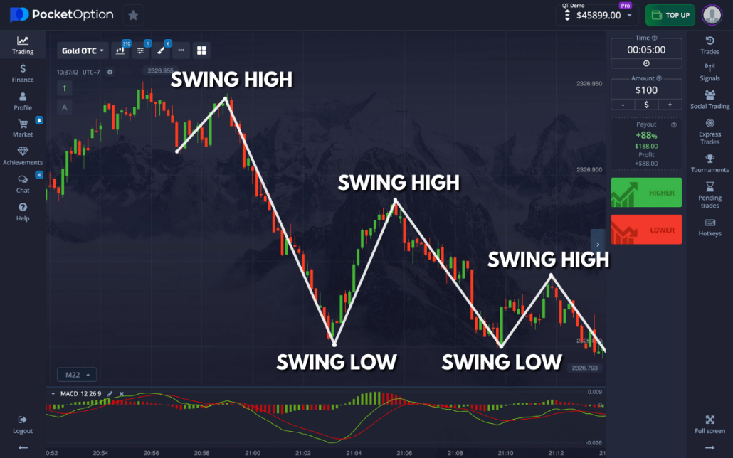 Mastering the Market A Comprehensive Guide to Pocket Option Indicator