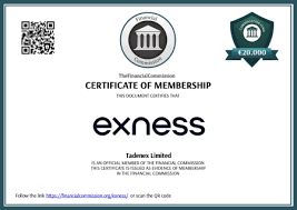 Unlocking Financial Freedom with Exness Mobile Trader