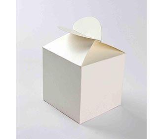 Square Wedding Party Favor Box in Ivory with a Butterfly Flap