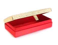 Wedding Cash Box in Red and Golden
